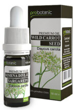 Ulje semena divlje šargarepe 10 ml  – Probotanic