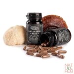 Lavlja griva i Reiši kapsule Fungo Medic